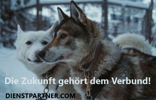 Werde Kooperation- Geschäftspartner: in, Lieferant: in oder Investor: in - ZURÜCK